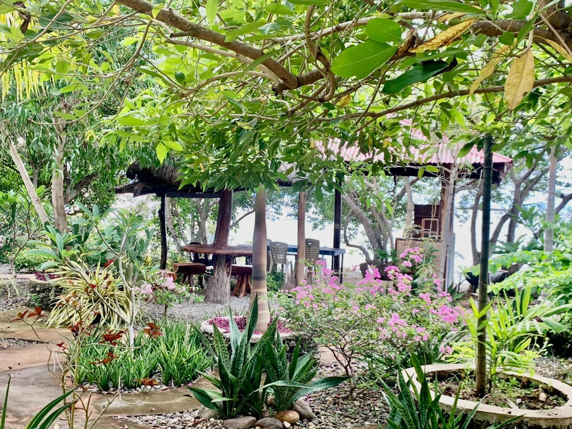 סיקיהור Adayo Cove Resort מראה חיצוני תמונה
